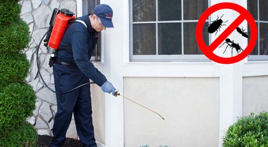 Karaisalı Gümüşkurt İlaçlama böcek ilaçlama ve haşere kontrolü — ilaclama-tr.com